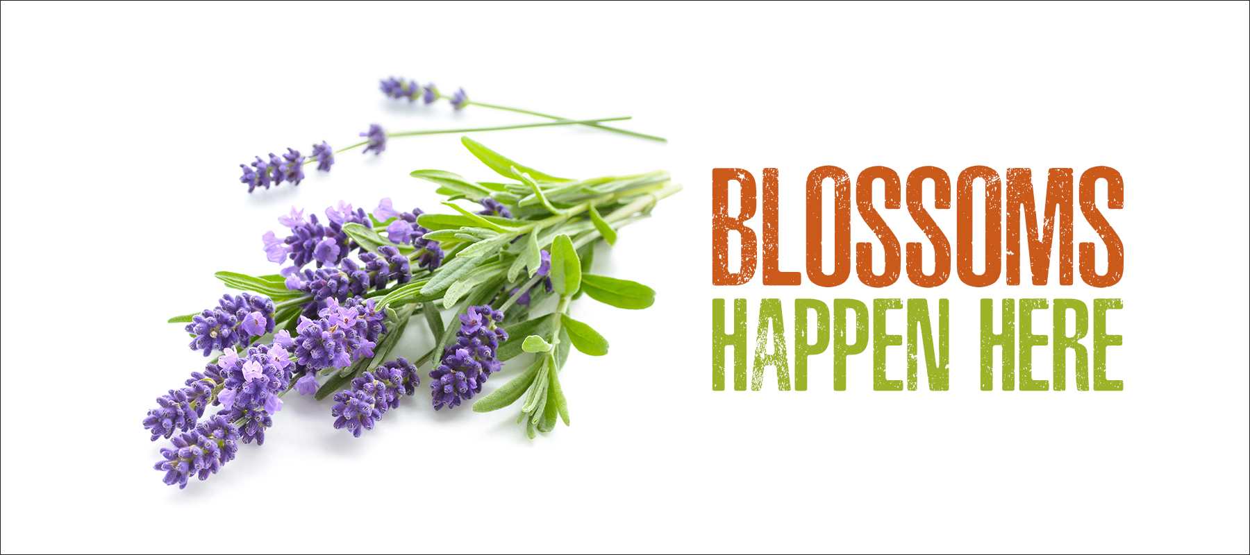 Blossoms Happen Here