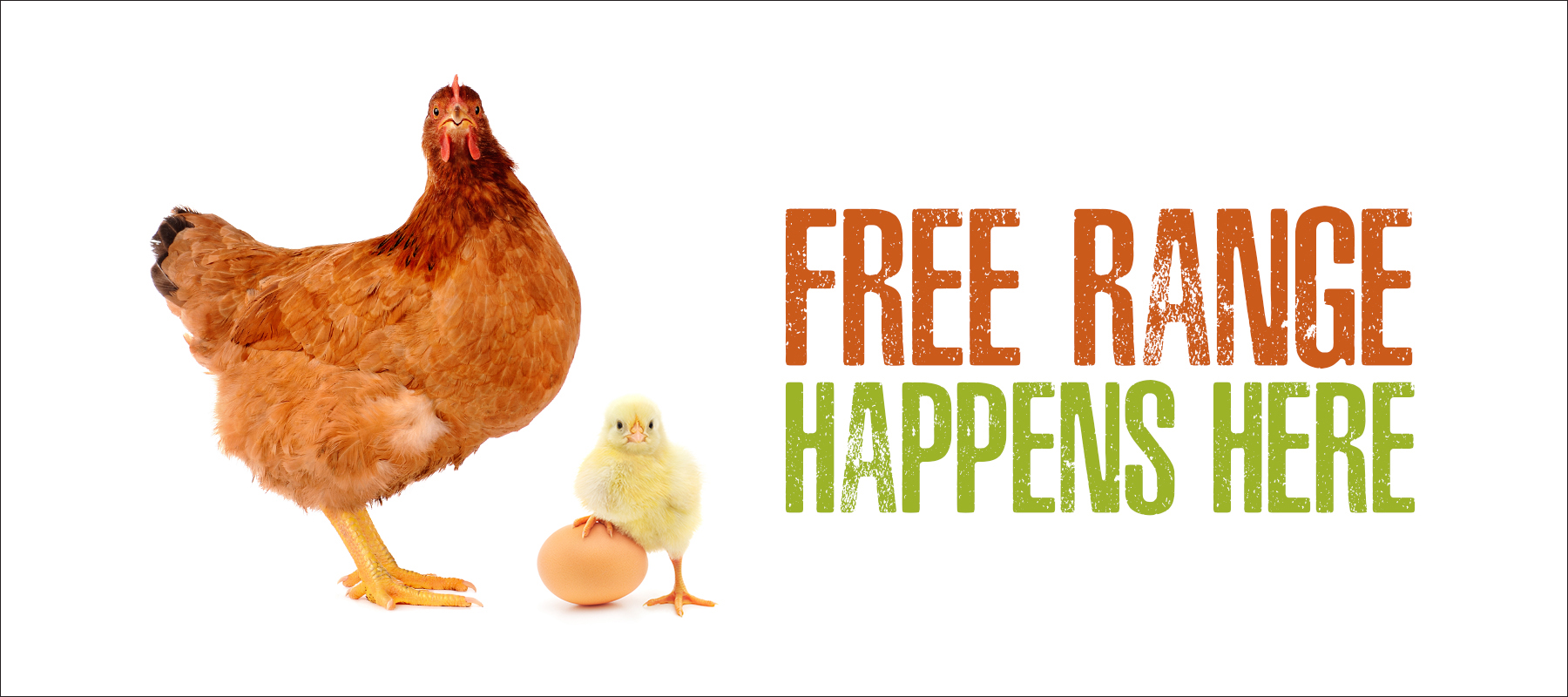 Free Range Happens Here