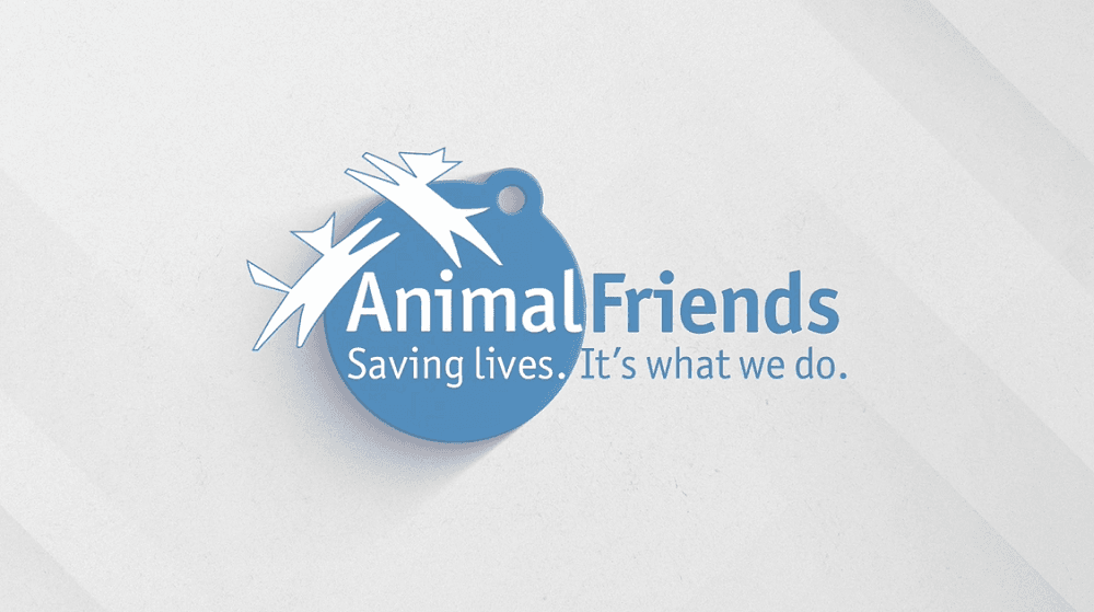 Animal Friends Video
